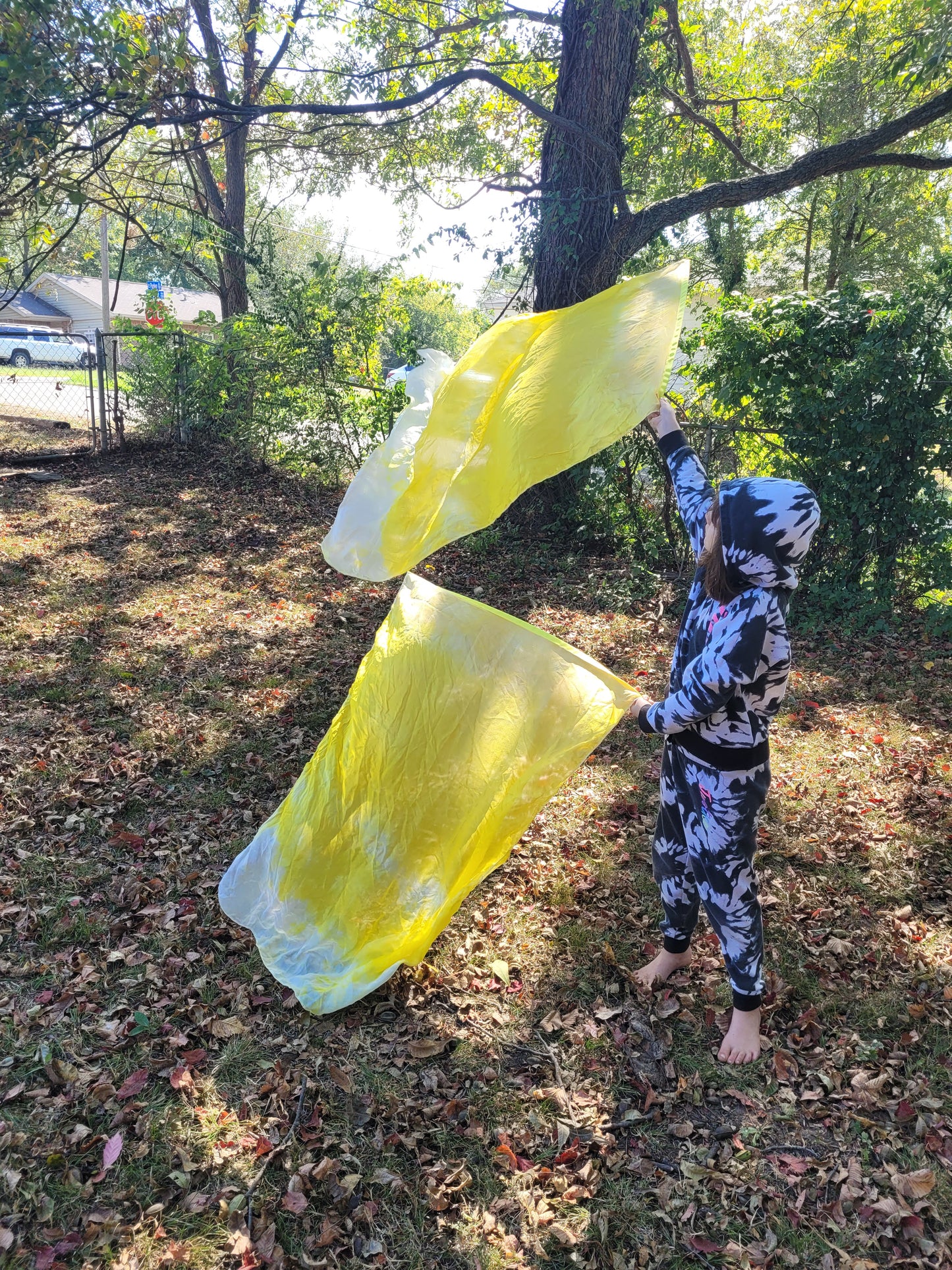 Light of Glory Small Worship Flags