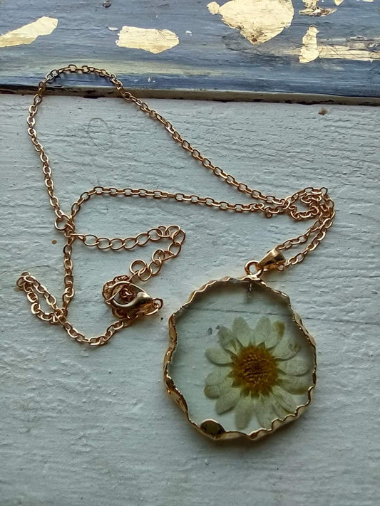 Genuine Daisy in Resin Necklace