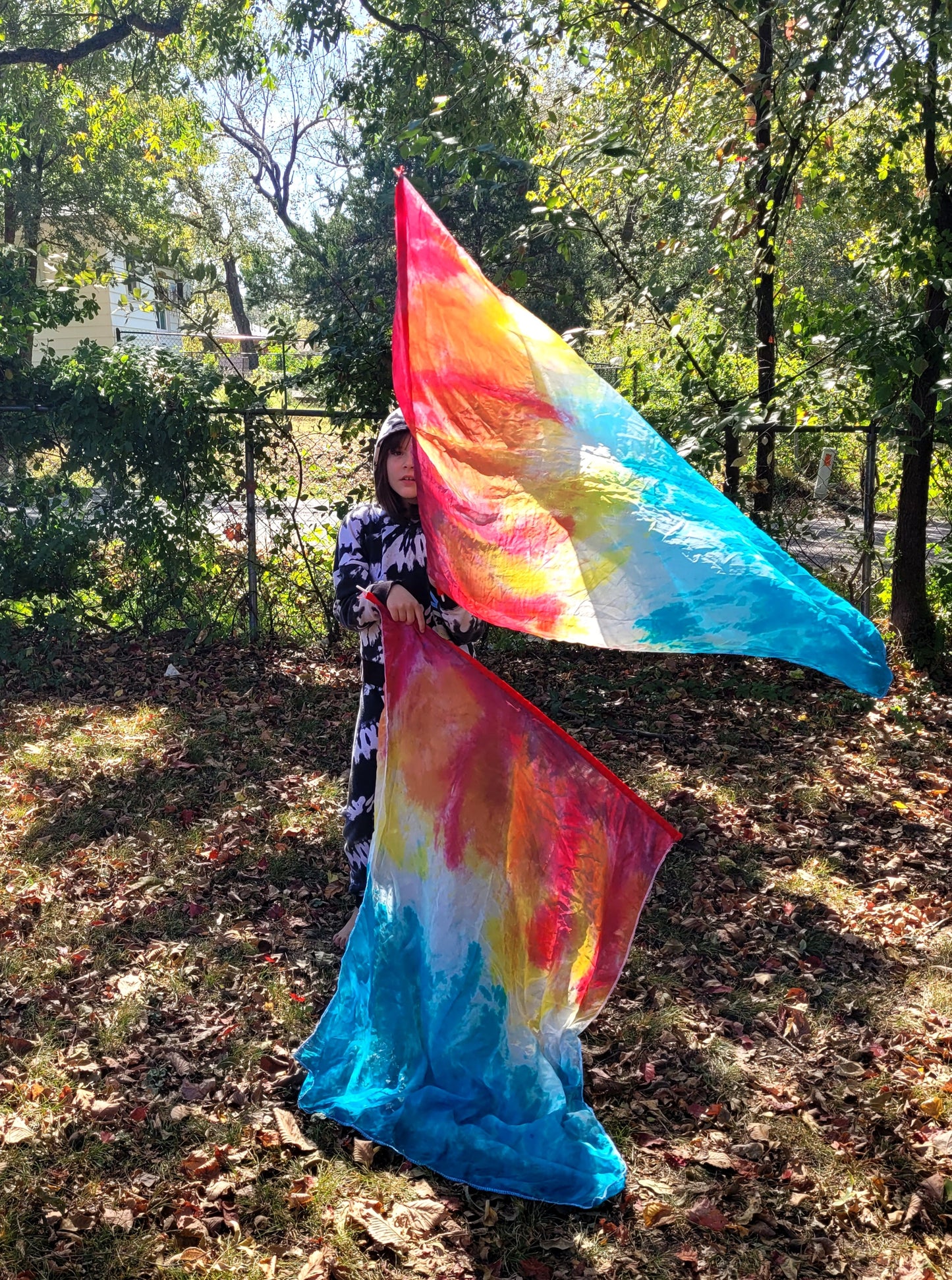 The Fire and the Water Worship Flags