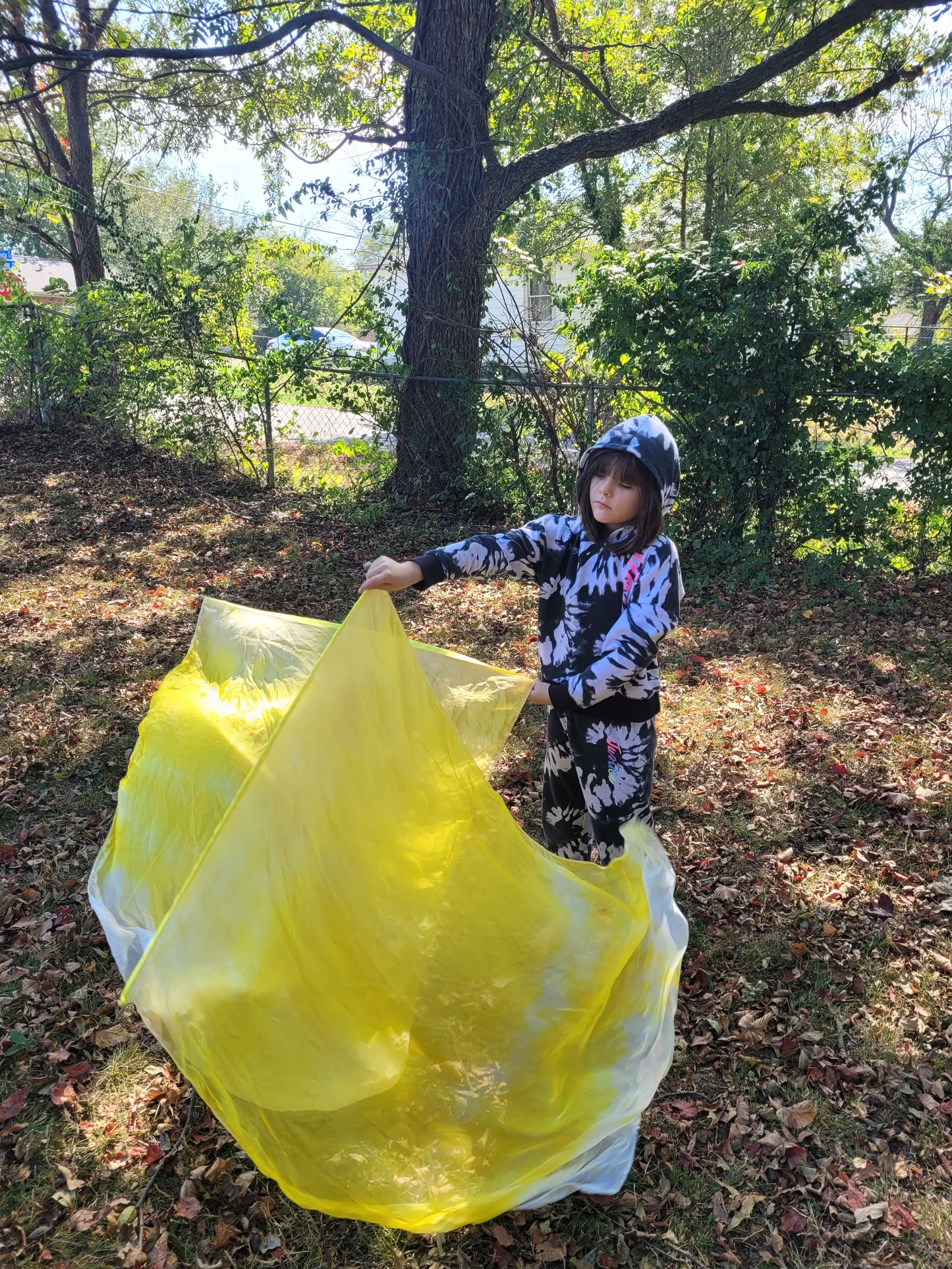 Light of Glory Small Worship Flags